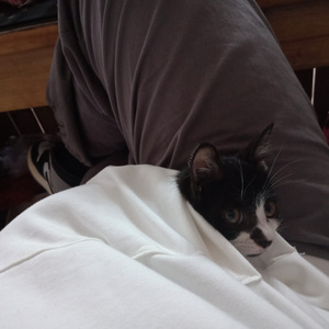 娇喘啊～你tm别㖭了h
