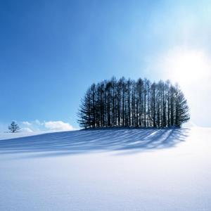 欧美猛男军人Gay巨大杂志
