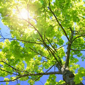 极品人妻3p系列
