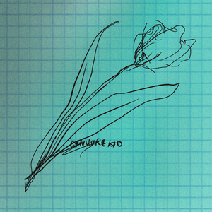 鹤发童颜白毛先祖TXT百度云网盘
