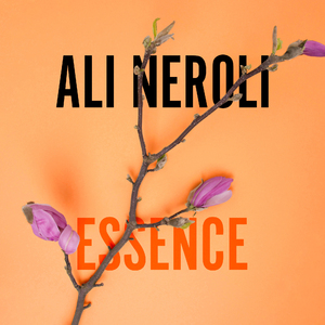 国产精品无码久久免费看
