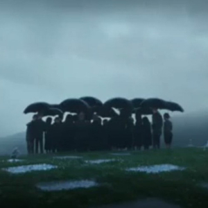 少妇好多水毛又白又嫩
