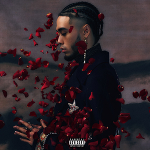 成年人观看的黄色淫秽视频
