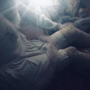 欧美猛男军人Gay巨大杂志
