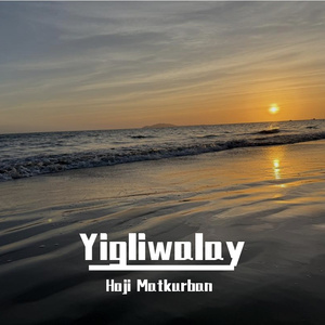 无码人妻丰满熟妇AⅤ一区张丽
