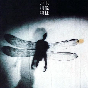 亚洲AV高清在线观看不卡
