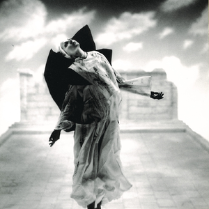 鹤发童颜白毛先祖TXT百度云网盘
