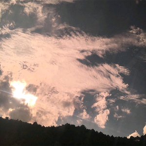 阿部夏树A片免费观看
