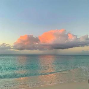 若菜奈央与老人主演的电影
