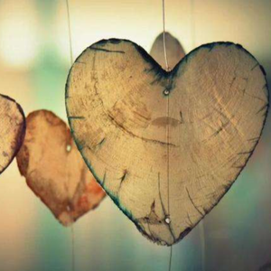 欧美一区二区群交
