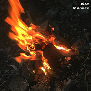 老婆和狗哪个了
