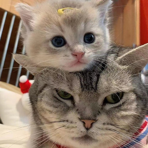 同学麻麻下面好紧
