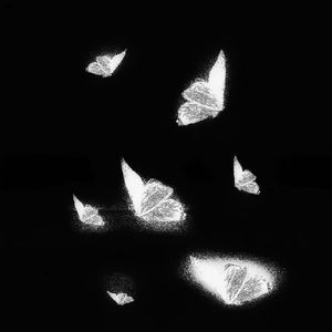 日本黄色性感片
