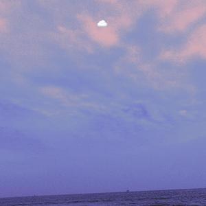 网站黄免费在线观看
