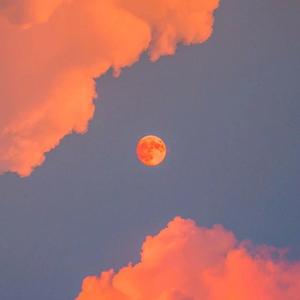 优酸乳m8u和m8u哪个更健康
