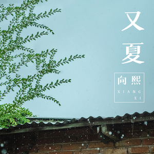 中国美女A级片视大全部
