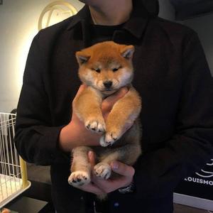 亚洲女被大黑j吧XXⅩXX
