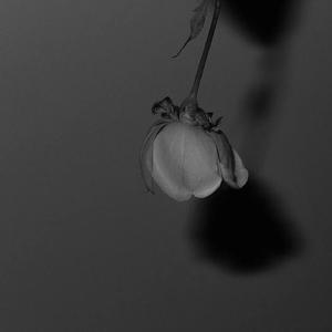 欧美猛男军人Gay巨大杂志
