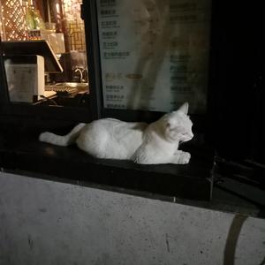 中国明星XXXⅩ性裸交
