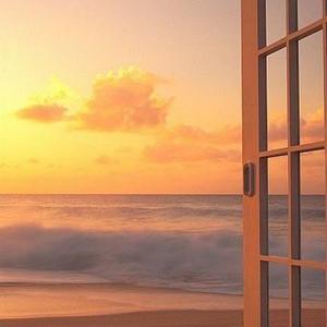 538精品在线观看
