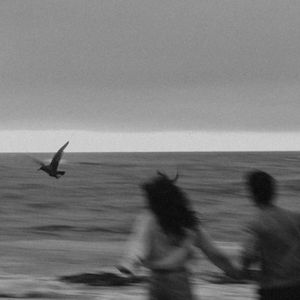 亚洲精品在线视频网址
