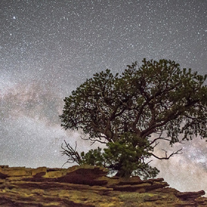 亚洲精品在线视频网址
