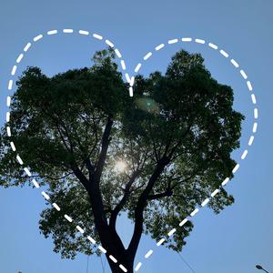 两男一女舔下面的视频户外免费
