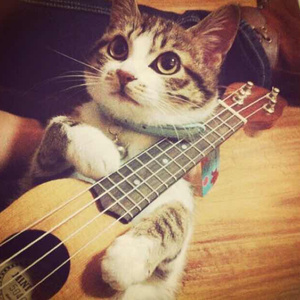 鹤发童颜白毛先祖TXT百度云网盘
