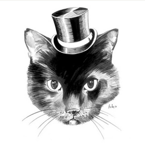 日本丰满骚女人
