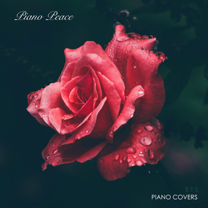 日本很黄的吸乳A片App
