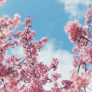 体育生自慰网站
