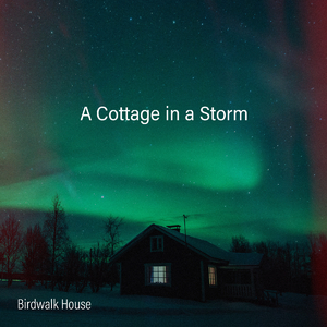 无码人妻丰满熟妇AⅤ一区张丽
