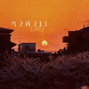 偷窃中国公厕的最新情况
