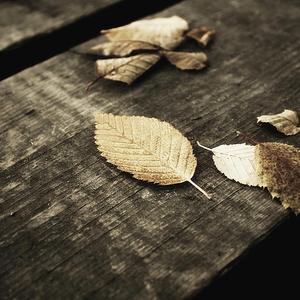 中国老奶奶老太
