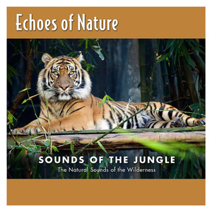 公公儿媳妇乱轮视频小电影
