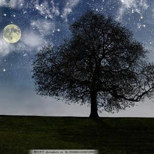 911柚子猫盛世容颜小僵尸
