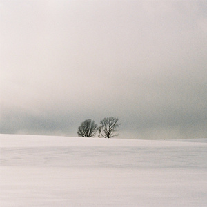 张津瑜张开腿让我❌了一夜
