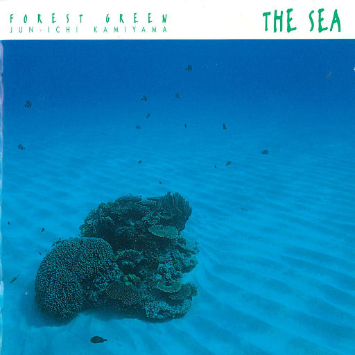 美女扒开嫩嫩的尿口让人桶
